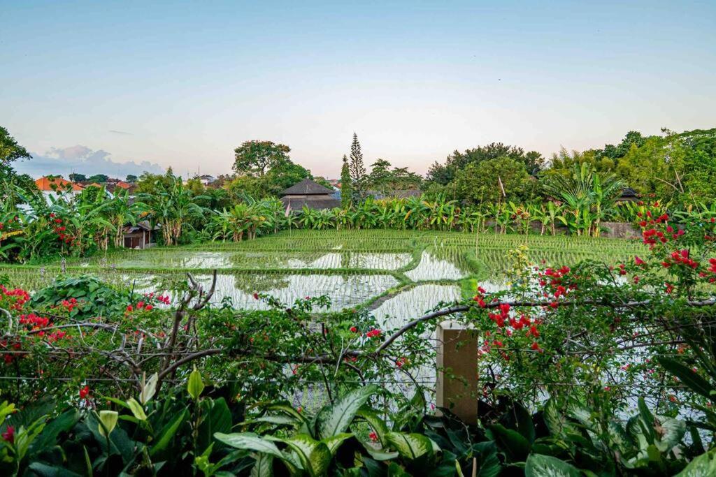 Villa Mimpi Nyata ชังกู ภายนอก รูปภาพ