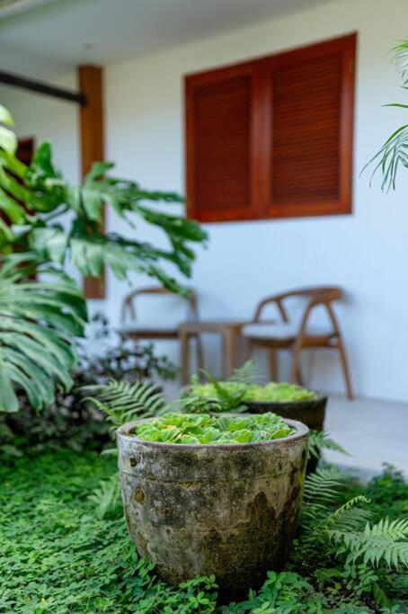 Villa Mimpi Nyata ชังกู ภายนอก รูปภาพ