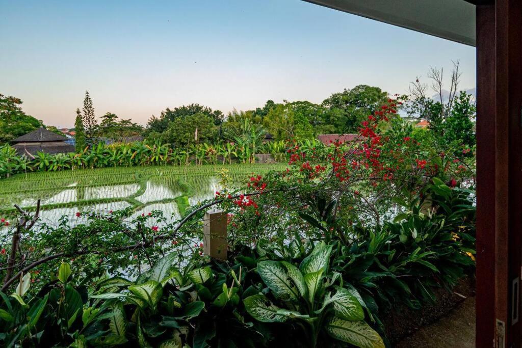 Villa Mimpi Nyata ชังกู ภายนอก รูปภาพ